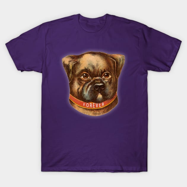 FOREVER DOG V3 T-Shirt by FOREVER DOG